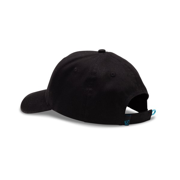 Nash Baseball Cap